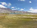 View of Pangong Tso from Merak village (October 2016)