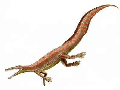 Restoration