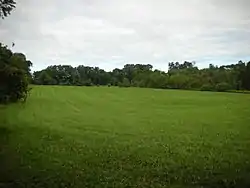 Image 5A field north of Fox Den Road along the Lenape Trail in Middle Run Valley Natural Area (from Delaware)