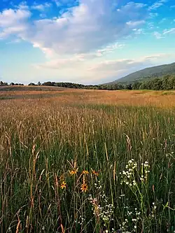 A Mifflin Township vista