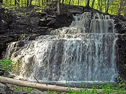 Savantine Creek Falls in the Delaware State Forest