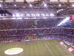 Supporters at the Millennium Stadium in 2006