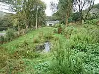 Millennium gardens at Lamorna