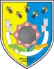 Coat of arms of Minkivka