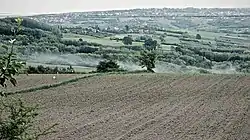 Landscape of Mislođin