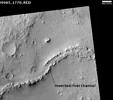 Inverted channel in Miyamoto crater, as seen by HiRISE.  The scale bar is 500 meters long.