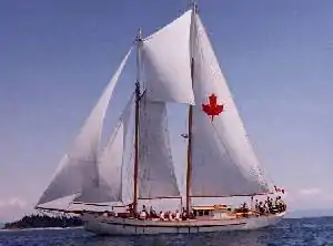 The Schooner Maple Leaf