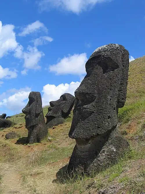 three charcoal grey heads sticking out of a grassy hillside