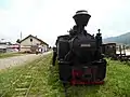 Mocănița-Huțulca-Moldovița narrow-gauge steam locomotive in Moldovița commune, a popular touristic attraction of Suceava County