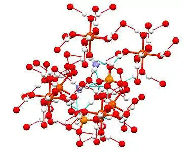 The same structure with hydrogen bonding network highlighted.