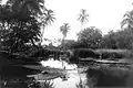 Mokuhinia the manmade lake upon which the island residence of Mokuʻula stood