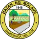 Official seal of Molave