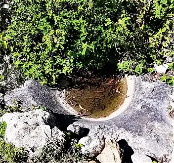 Old molcajete, probably pre-Hispanic made in a stone in situ, municipality of San Miguel Achiutla, Oaxaca, Mexico.