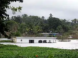 View of the destruction on Moneague lake during the 2006 flood