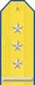 Parade uniform shoulder board (Colonel)