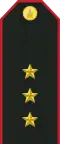 Mongolian Army-1LT-service