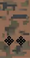 Lieutenant shoulder board, 2011 style camouflage pattern.