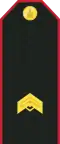 Mongolian Army-JSG-service