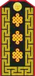 Mongolian Army-LTG-service 1998-2011