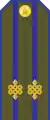 Mongolian Army-Lieutenant colonel-service 1990-1998