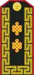 Mongolian Army-MJG-service 1998-2011