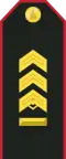 Mongolian Army-MSG-service