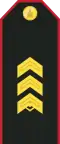 Mongolian Army-SSG-service