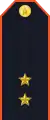 Service uniform shoulder board (Lieutenant)