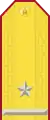 Parade uniform shoulder board (Major)