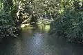 Monocacy Creek near its confluence with the Lehigh River