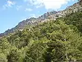 Mountains in the Asco Valley