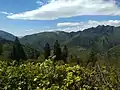 Mount Camiolo di Cima, panorama of Mount Stino, Moerna and Armo