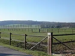 Looking towards the Montferland hills