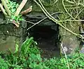 Stone lined outflow tunnel from Montfode House.