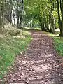 The old carriage looking towards Auchentiber.