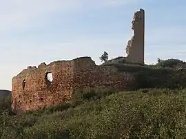 Ruins of the chateau of Saint Pierre des Clars