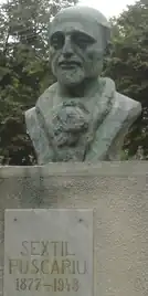 Bust in Bran