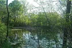 Natura 2000 locality in Slovakia