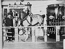 Morley Brothers window display showcasing horse and carriage supplies, 1915. From the Morley Historical Collection.