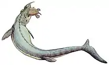 Drawing of M. hoffmannii gripping a marine turtle in its jaws.