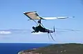 A Pegasus rigid wing hang glider with a Mosquito A10 harness, the model previous to the NRG