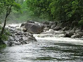 Image 13The Mossman River, flowing through the Daintree Rainforest in Far North Queensland (from Queensland)