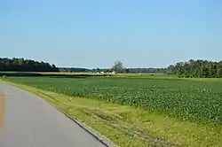 Fields north of New Knoxville