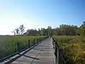 Boardwalk passing through Dyke Marsh