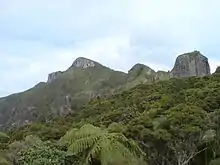 Mount Hobson, Great Barrier Island in the Coromandel Volcanic Zone