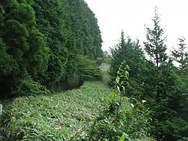 The trail going up Mount Naka Katsuragi