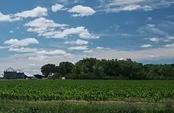 A farm in Mountain Lake Township