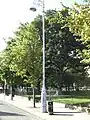 Decorative Shamrock Lamp Post (park side)