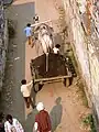 Camel Cart