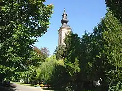 The Orthodox Church